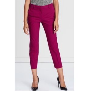 Theory Treeca fuchsia pant size 4
